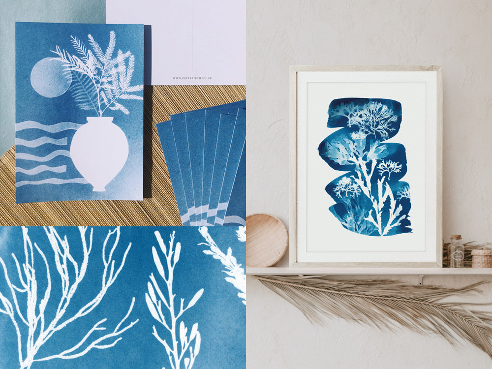 Cyanotype commissions and collaborations with Paper Birch