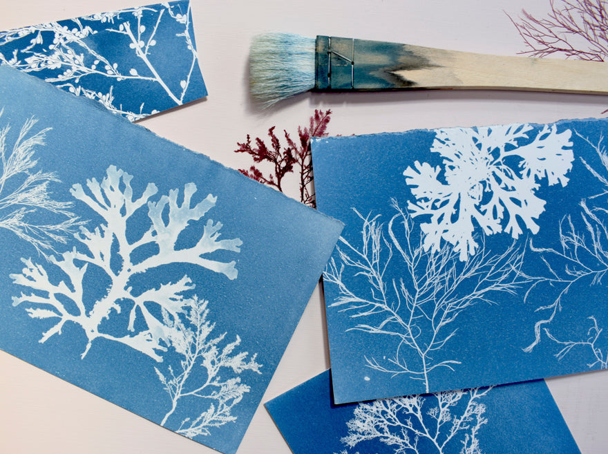 Image featuring the cyanotype process