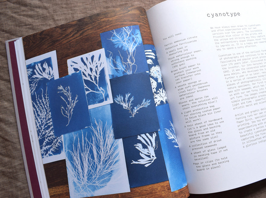 Seaweed: Foraging, collecting, pressing’ by Julia Bird and Melanie Molesworth