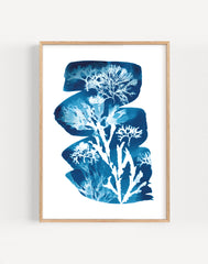 Seaweed Cyanotype Art Print Tideline