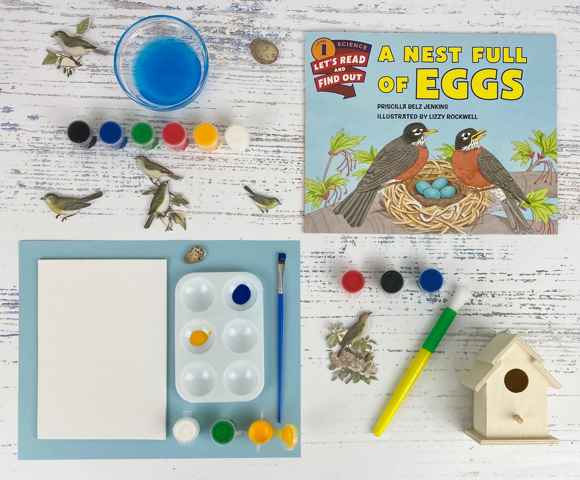 Butterfly Kit – ABC Crate