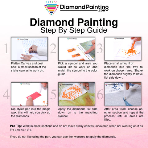 Diamond Painting Instructions