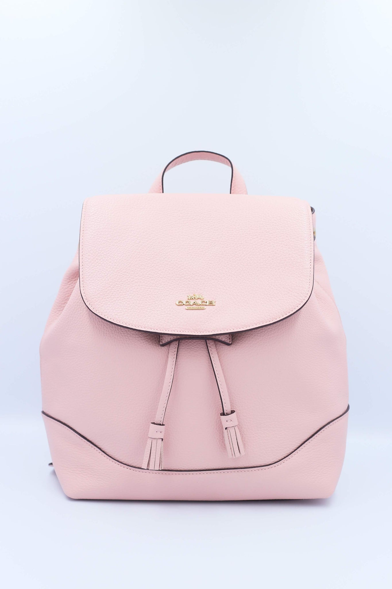 disney x coach tiana