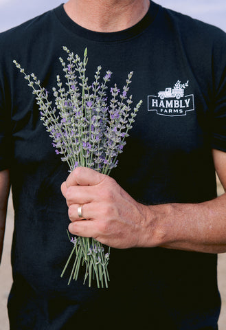 Hambly Farms Lavender