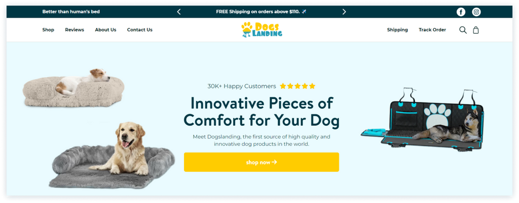 Dogslanding Case Study