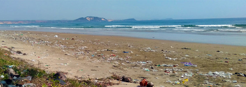 Single Use Plastics Littering a Beach