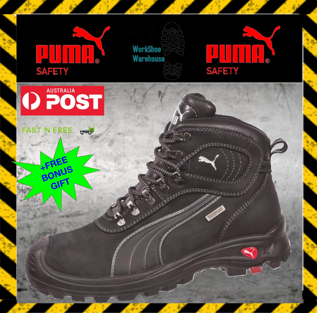 puma sierra