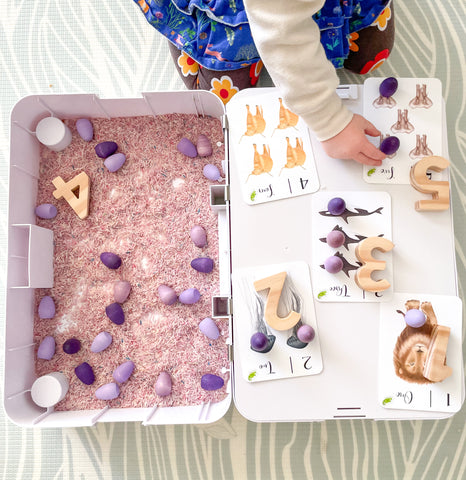 Child playing with loose parts and number flashcards