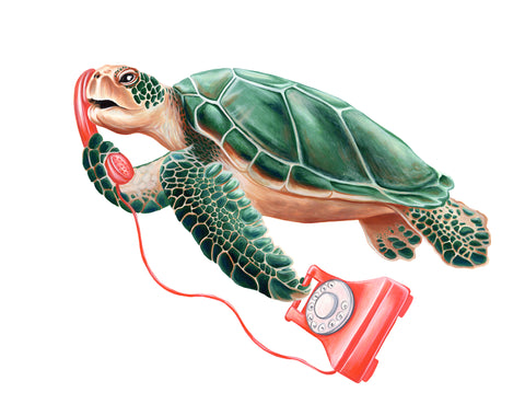 Tortue au téléphone par Amélie Legault