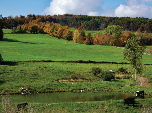 Fossil Farms Fall Farmland Landscape