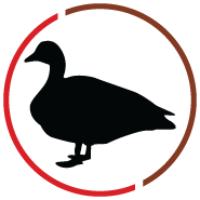 goose goose duck logo png