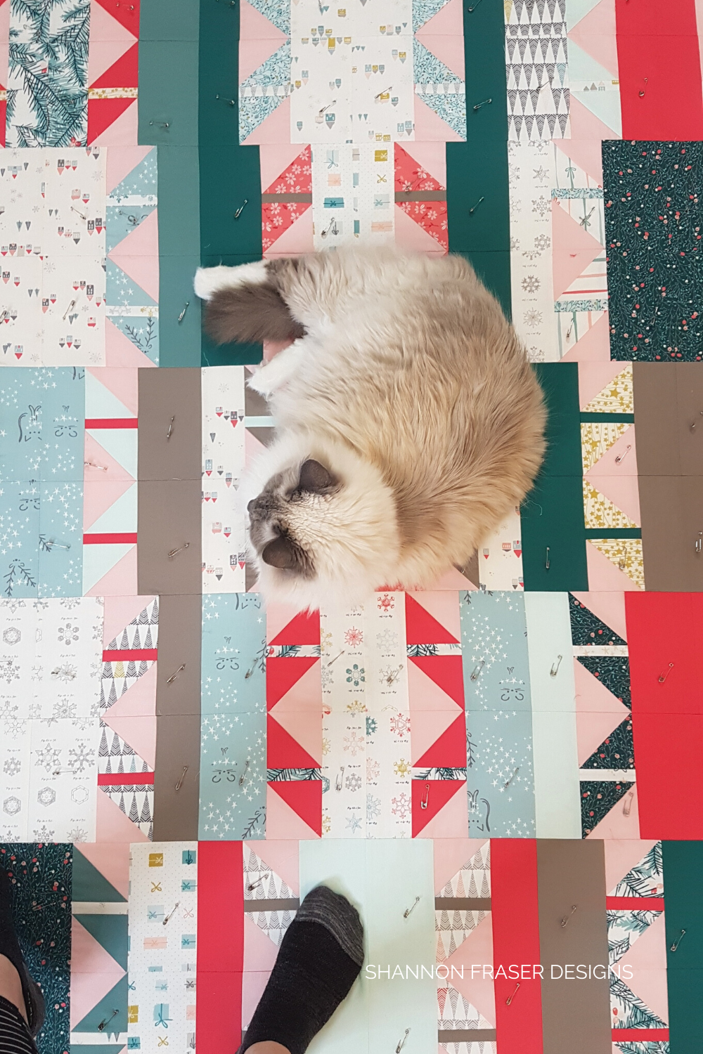 Pips hanging out on my freshly pin basted Shattered Star quilt - the holiday version | Shattered Star Quilt Along Week 7: How to baste your quilt | Shannon Fraser Designs #starquilt