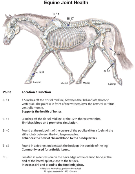 equine arthritis acupressure