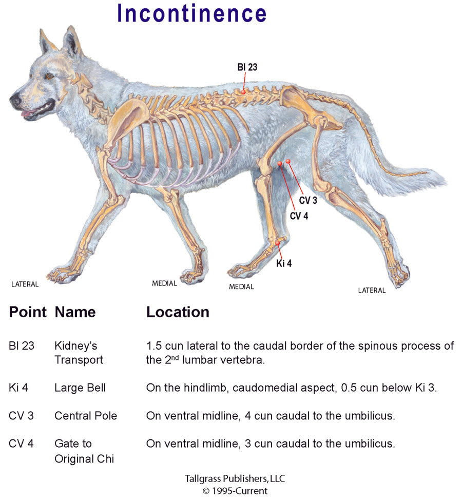 Plot - Canine Incontinence