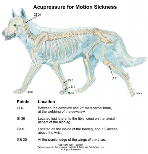 acupressure for motion sickness animals