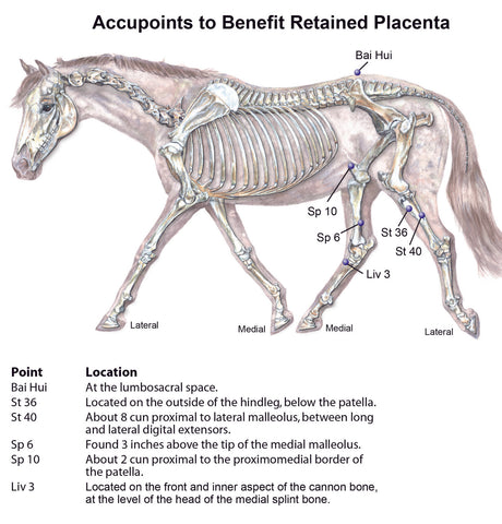 acupoints for retained placenta, acupoints for fertility