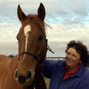 Equine Acupressure