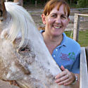 Equine Acupressure