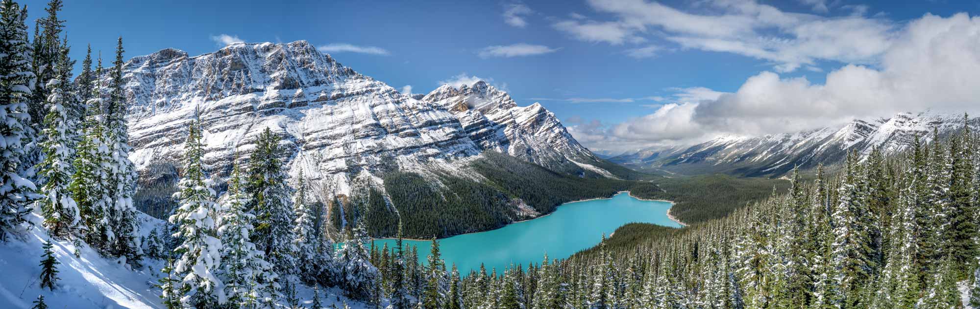 Autumn Snow at Peyto Lake from Bow Summit - Banff National Park