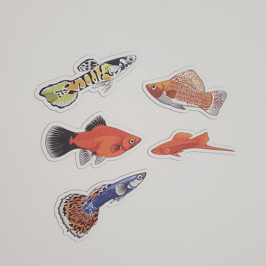 30% sale on offshore fish sticker 5 combo decal packs