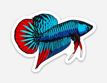 Plakat Betta Fish Sticker/Magnet/Cling - Buy Betta Fish Stickers – AQUAPROS