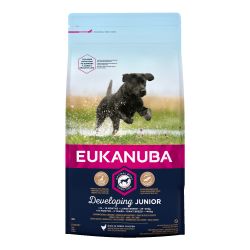 eukanuba junior large