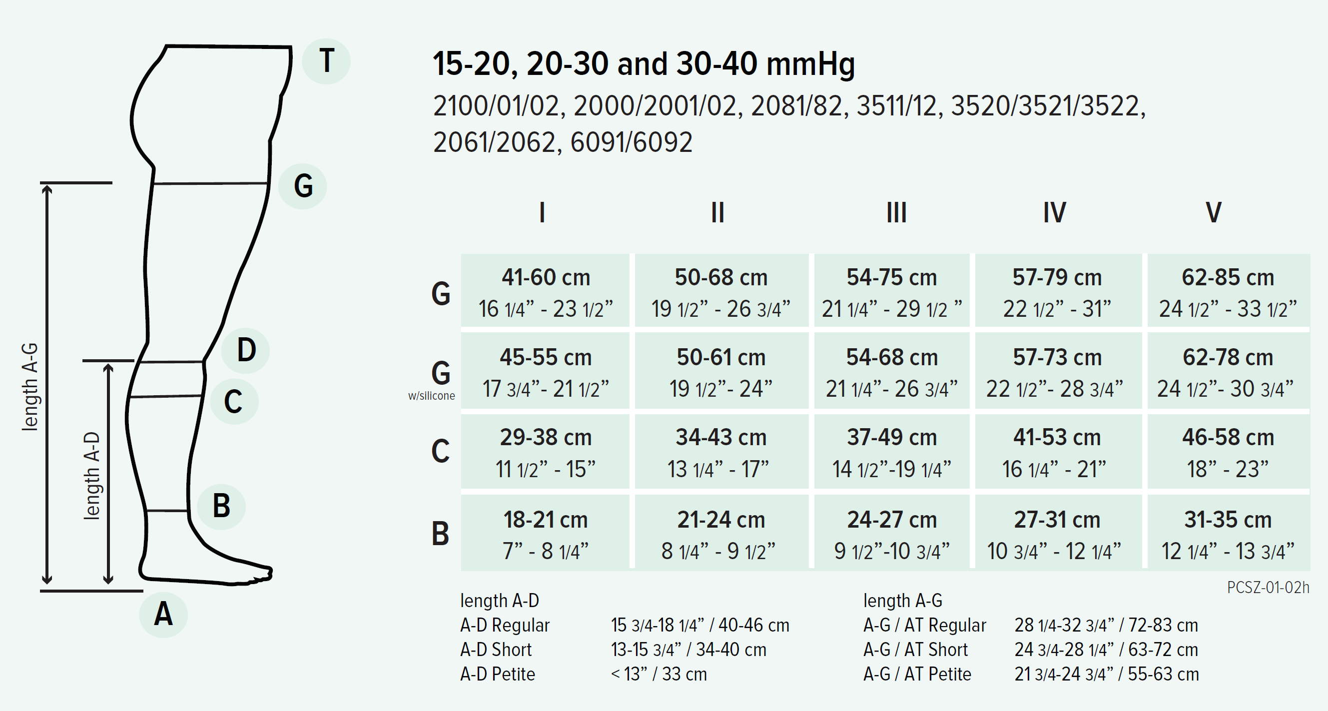 Ted Measurement Chart