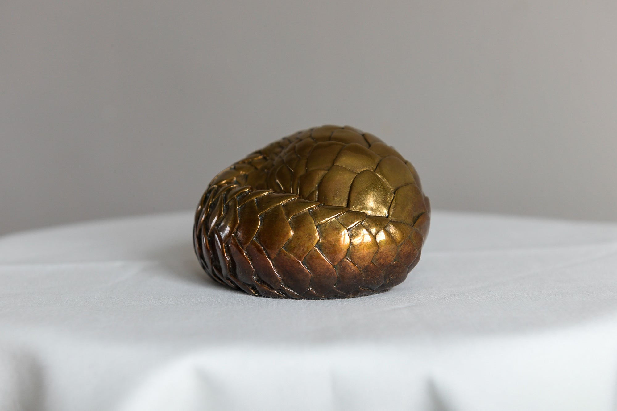 Miniature Pangolin Ball – Stephen Rew