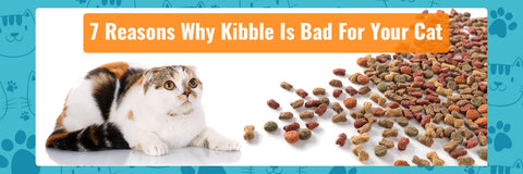 7 Reasons Why Dry Pellet Food Or Kibble Is Bad For Your Cat.