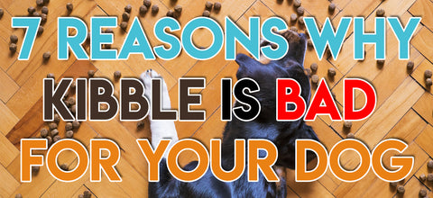 7 Reasons Why Kibble Is Bad For Your Dog.