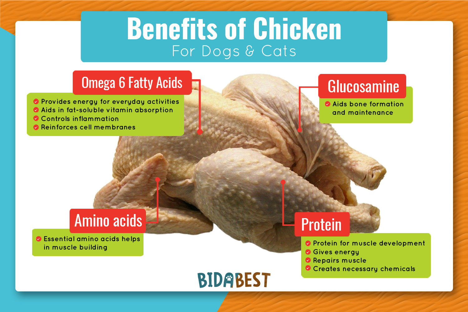 Benefits of chicken for dogs and cats