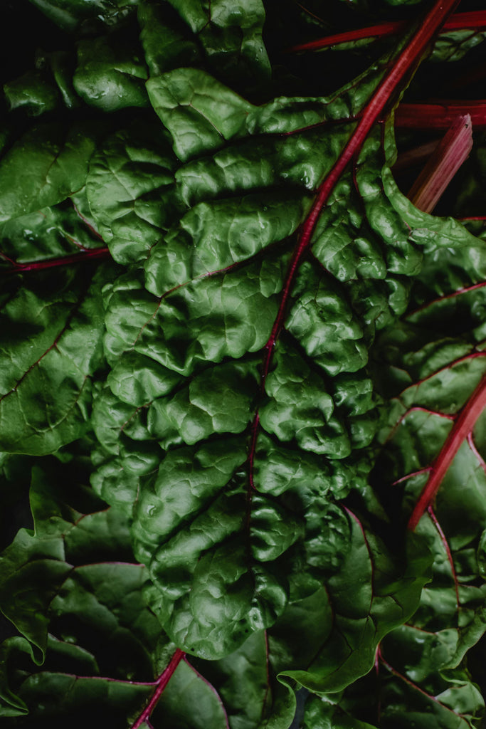 spinach with red stem