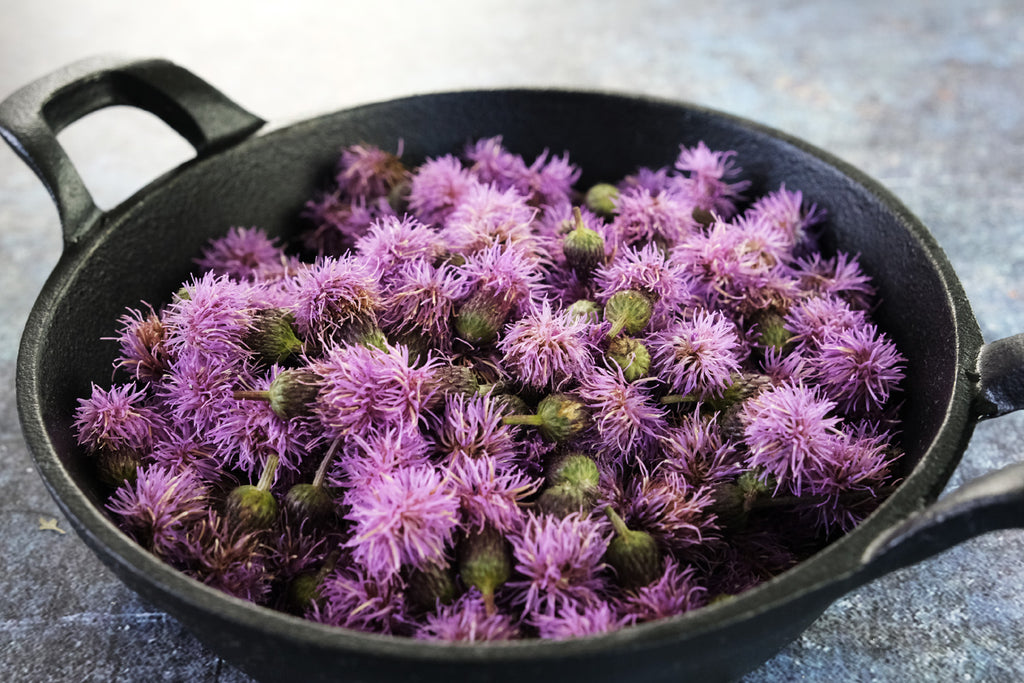 thistle flowers in a cast iron serving pan