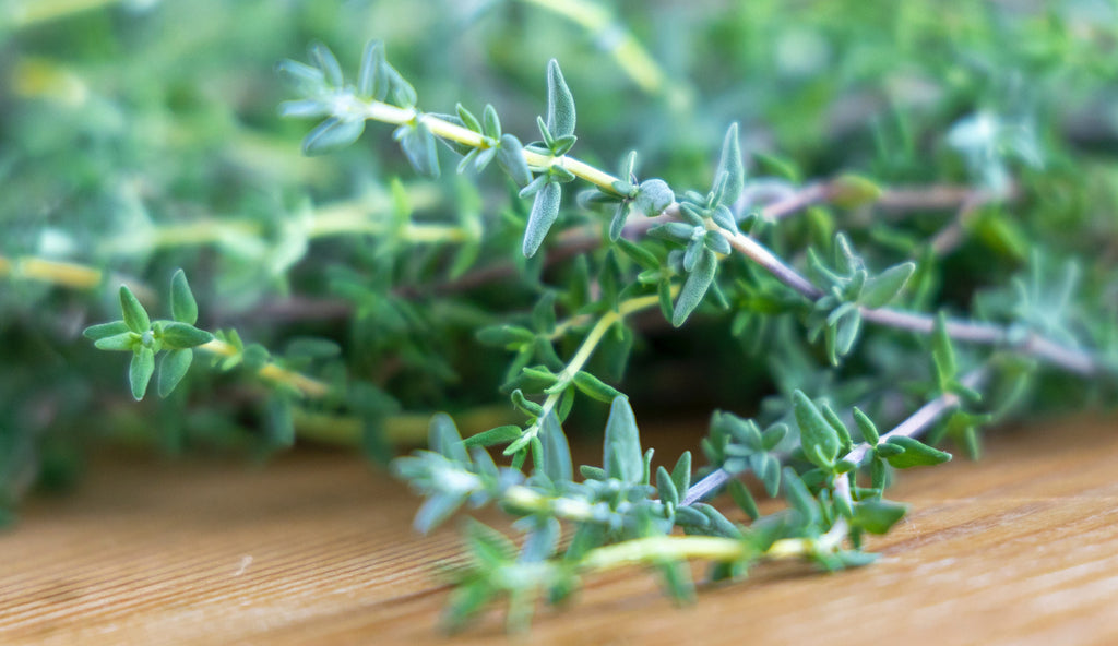 What Is a Sprig of Thyme?, Cooking School