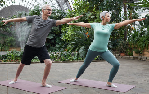 Elderly couple exercising in yoga stance