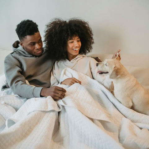 Couple in bed with pets