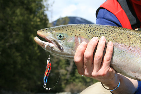 Salmon & Trout Fishing with Casting Lures — Gibbs Fishing