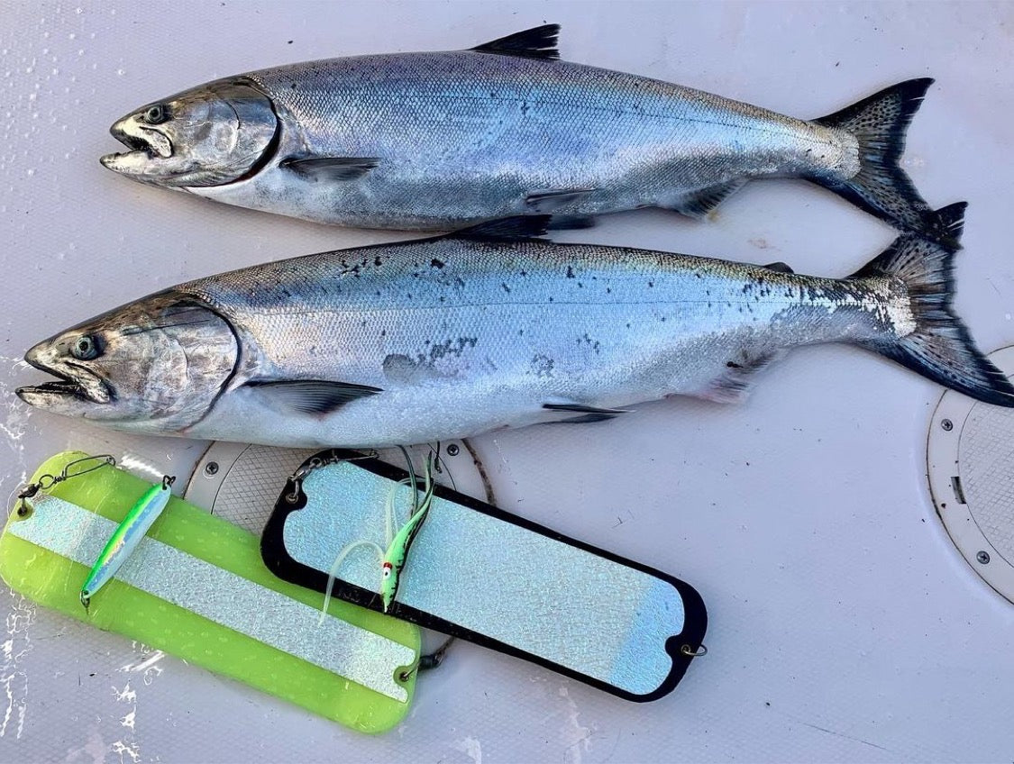 Winter Chinook Salmon Fishing Along British Columbia's Coast: Strategi —  Gibbs Fishing
