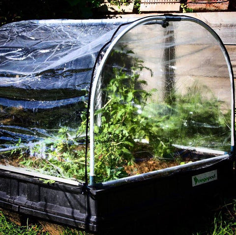 Vegepod hothouse covers will increase your growing season by trapping in heat during cooler months. 