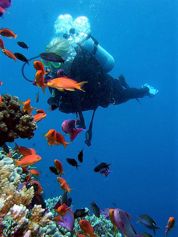 Scuba Diver in Fiji