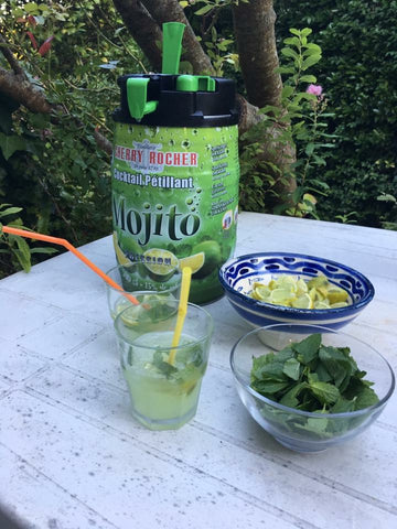 Faire Du Mojito Decouvrez 20 Recettes De Mojito A Faire Chez Soi