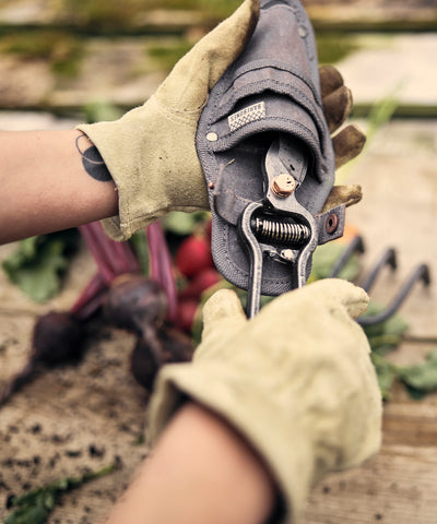 Barebones Classic Work Glove (Cognac, S/M)