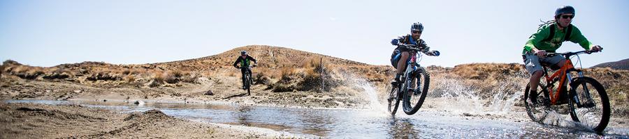 Rangataua forest bike trails