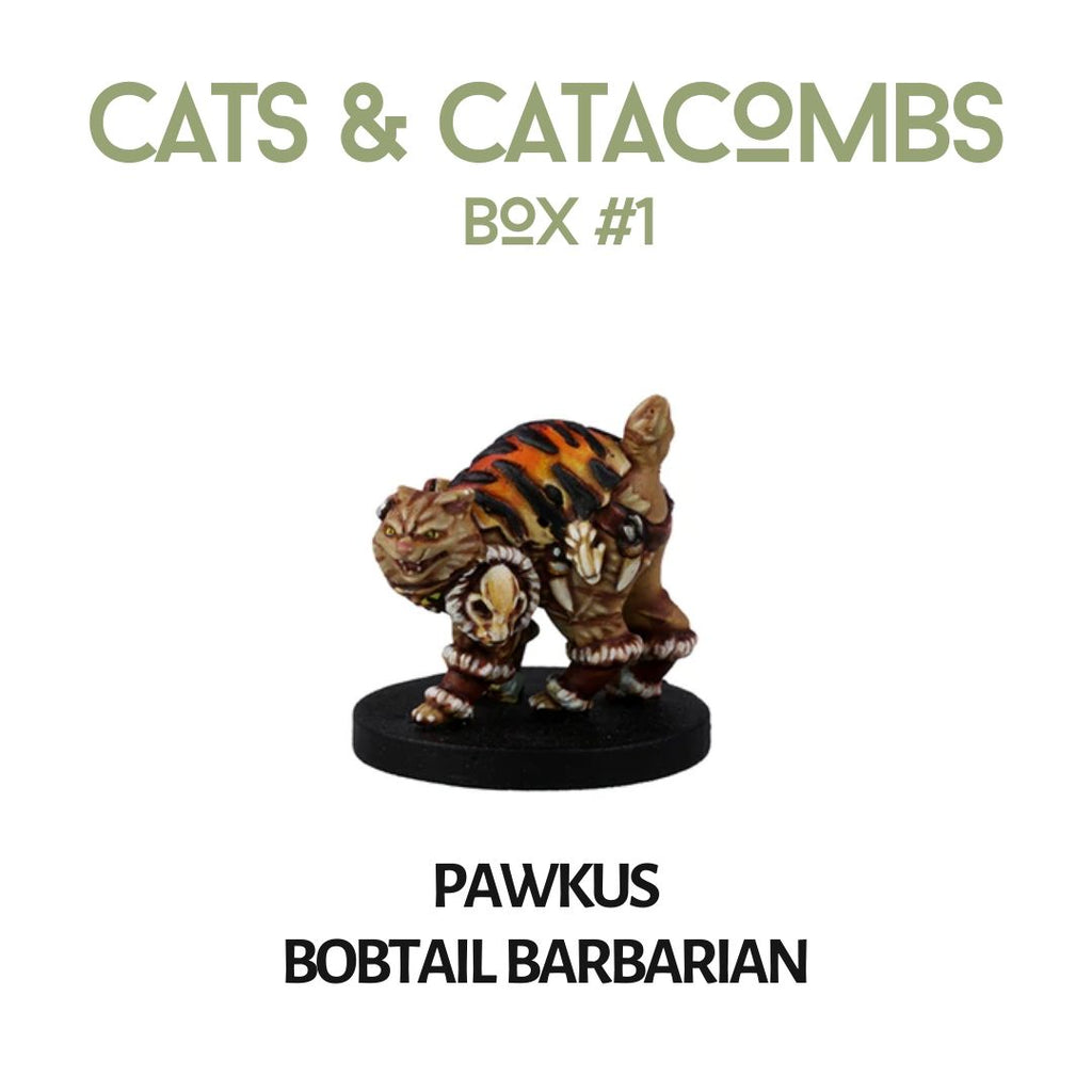 Cats Catacombs Box 1 6pk Animal Adventures