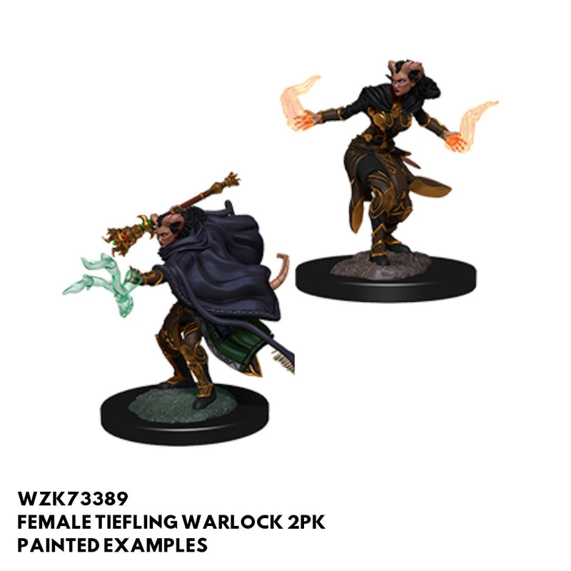 Dnd Tiefling Sorcerer Female / Your charisma score increases by 2