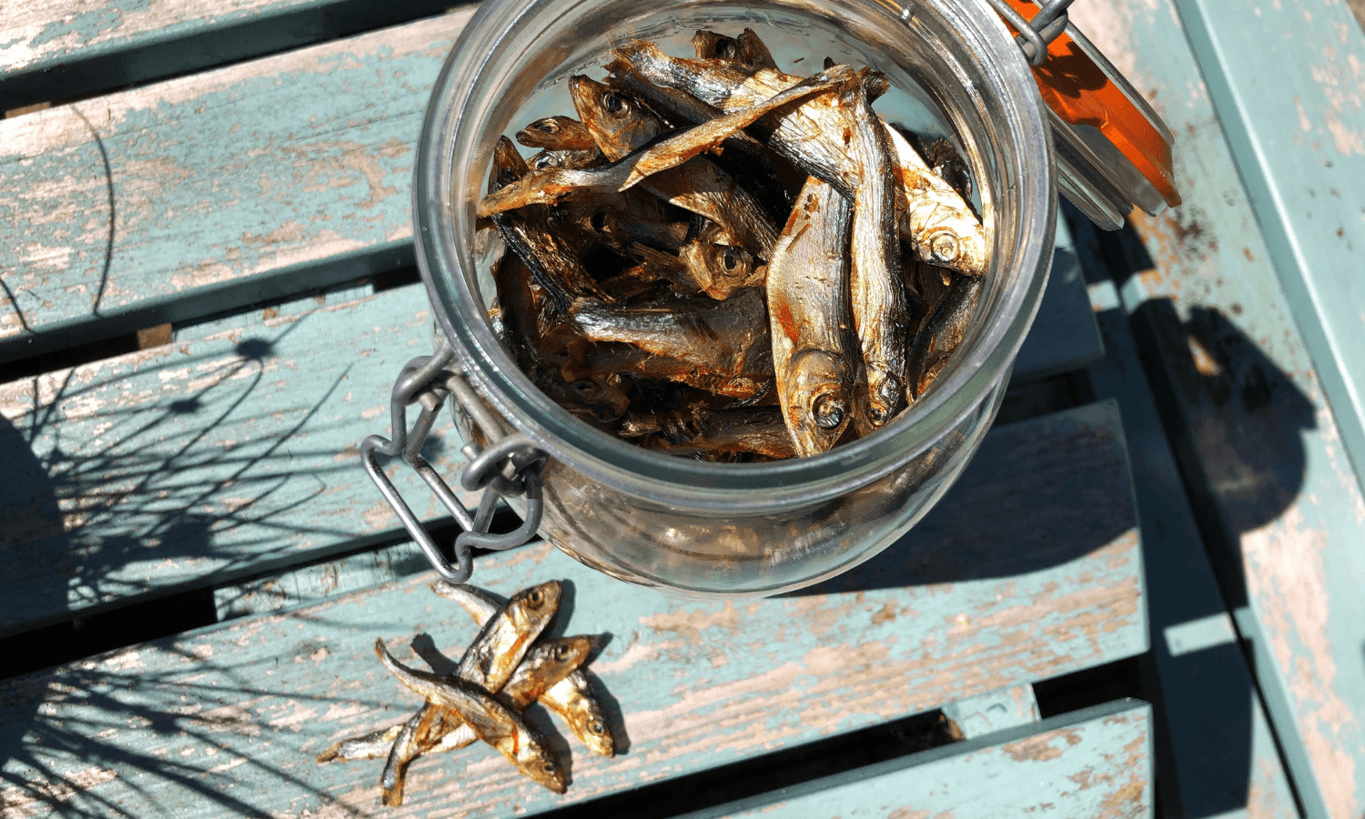 are dried sprats good for dogs