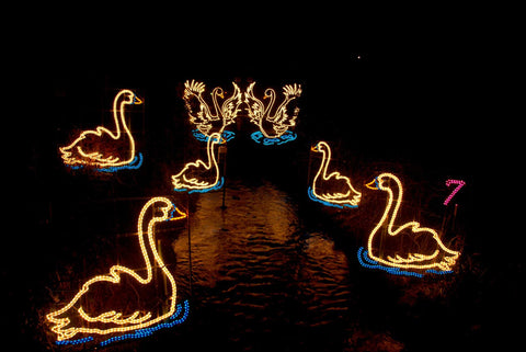 Angarrack Christmas Lights Cornwall