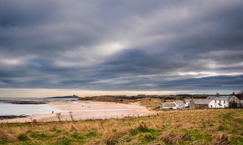 Dog Walking North East England