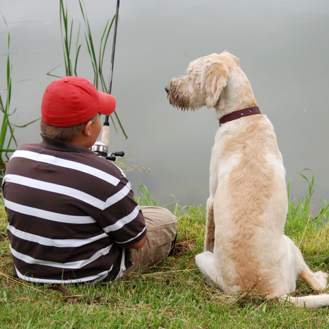 Dog and fisherman on riverbank