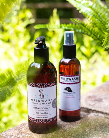 WildWash Grooming for Dogs